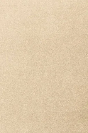 Ковровое покрытие AW Oinone 34 - (5м) в Кемерово