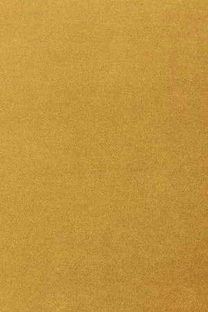 Ковровое покрытие AW Oinone 54 - (5м) в Кемерово