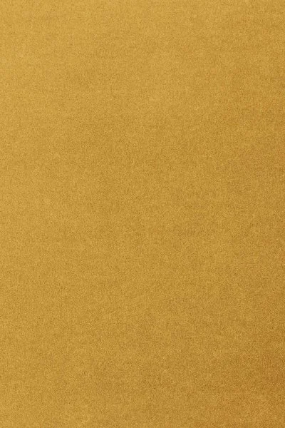 Ковровое покрытие AW Oinone 54 - (5м) в Кемерово