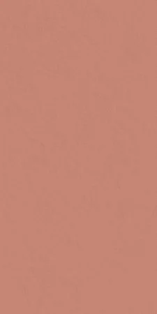 Керамогранит Italon Серфейс Скарлетт (Патинированная, 60x120) в Кемерово