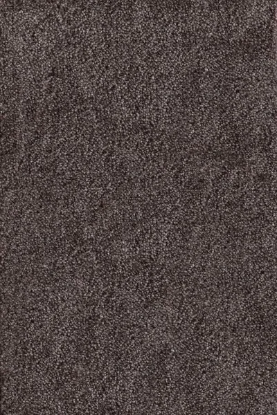 Ковровое покрытие AW Messalina 44 - (4м) в Кемерово