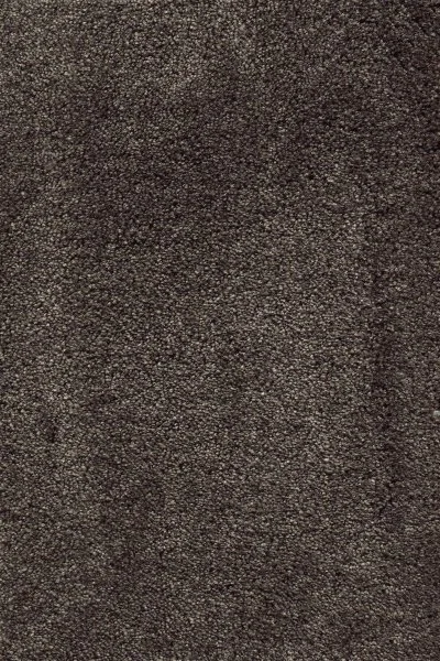 Ковровое покрытие AW Fedone 44 - (5м) в Кемерово