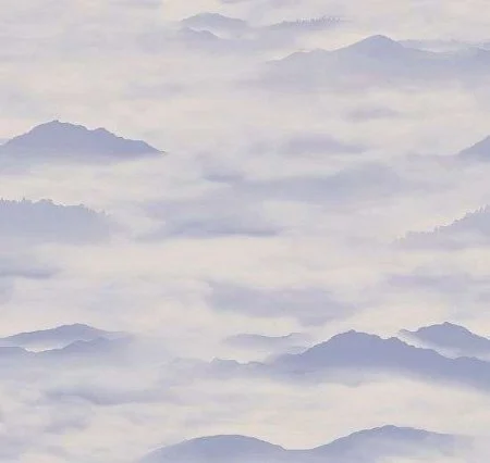 Обои Loymina Clair CLR4, 006 в Кемерово