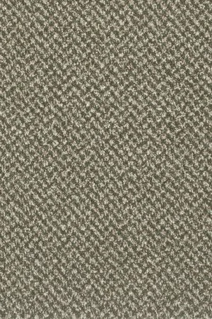 Ковровое покрытие AW Stainaway Tweed 24 - (4м) в Кемерово