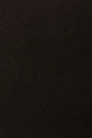 Ковровое покрытие AW Oinone 99 - (4м) в Кемерово