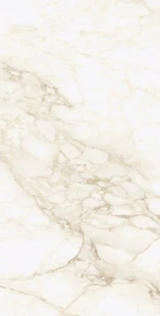 Керамогранит Coliseum Микеланджело Ворм 60х120 (Натуральный и Реттифицированный) в Кемерово