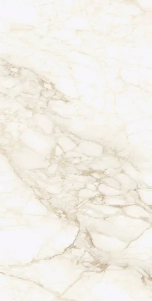 Керамогранит Coliseum Микеланджело Ворм 60х120 (Натуральный и Реттифицированный) в Кемерово