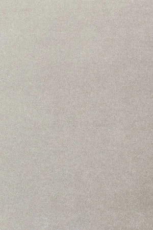 Ковровое покрытие AW Oinone 92 - (4м) в Кемерово