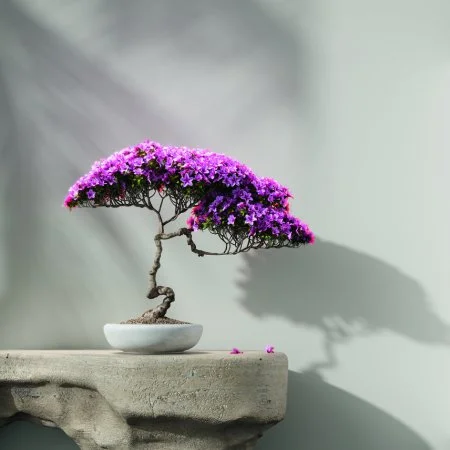 Обои Loymina Lotus LOT1 112 в Кемерово