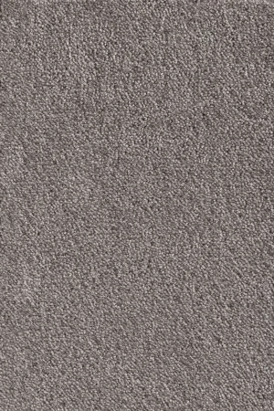 Ковровое покрытие AW Messalina 49 - (5м) в Кемерово