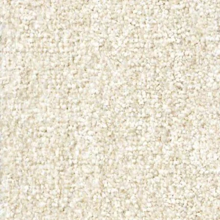 Ковровое покрытие Zartex Парадиз 565 Пломбир - 3 м в Кемерово