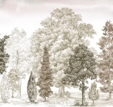 Обои Loymina Пейзаж vol. 2 ART14 012 в Кемерово