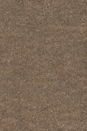 Ковровое покрытие AW Euphoria 36 - (5м) в Кемерово
