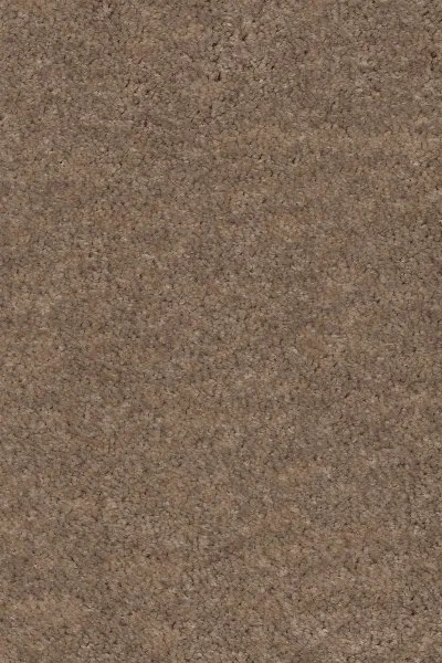 Ковровое покрытие AW Euphoria 36 - (4м) в Кемерово