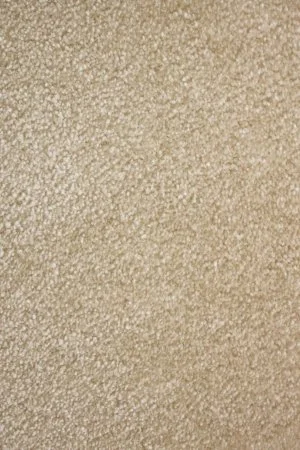 Ковровое покрытие AW Euphoria 33 - (5м) в Кемерово