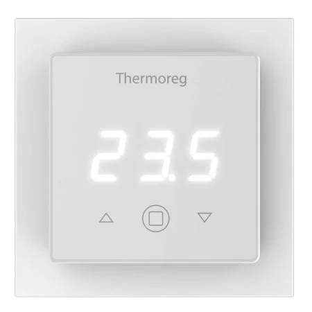 Терморегулятор Thermoreg TI-300 в Кемерово