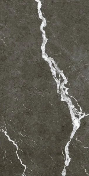 Керамогранит Coliseum Микеланджело Дарк 60х120 (Натуральный и Реттифицированный) в Кемерово