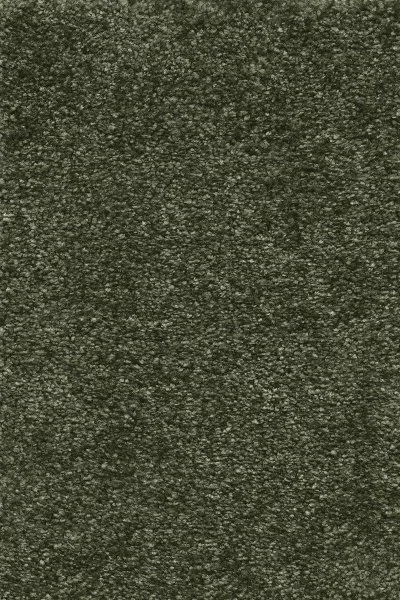 Ковровое покрытие AW Certosa 24 - (4м) в Кемерово