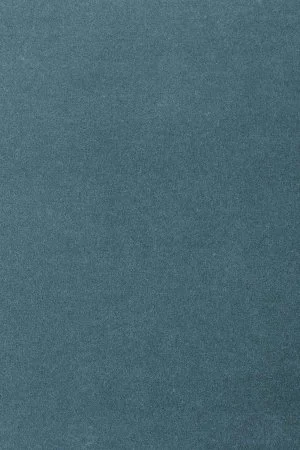 Ковровое покрытие AW Oinone 74 - (4м) в Кемерово