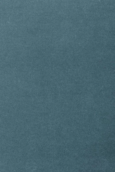 Ковровое покрытие AW Oinone 74 - (5м) в Кемерово