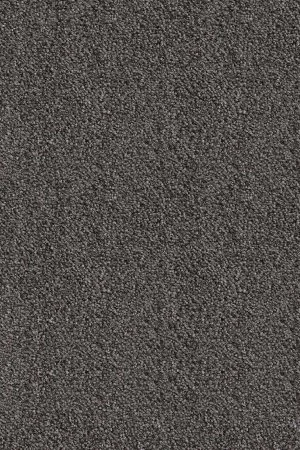 Ковровое покрытие AW Messalina 99 - (5м) в Кемерово