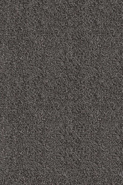 Ковровое покрытие AW Messalina 99 - (5м) в Кемерово