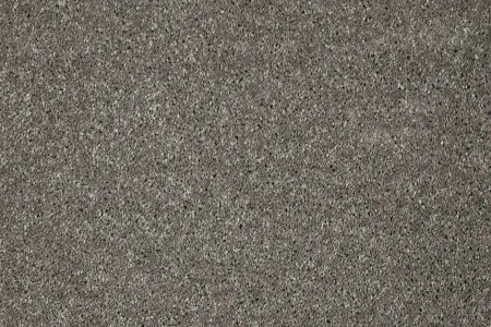 Ковровое покрытие AW Gala 94 - (5м) в Кемерово