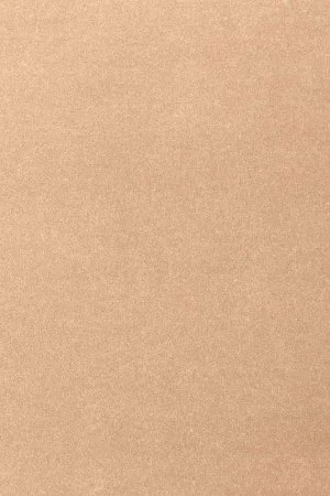 Ковровое покрытие AW Oinone 08 - (4м) в Кемерово