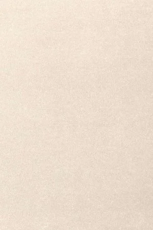 Ковровое покрытие AW Oinone 03 - (4м) в Кемерово