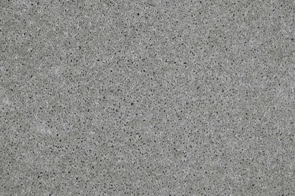 Ковровое покрытие AW Gala 90 - (4м) в Кемерово