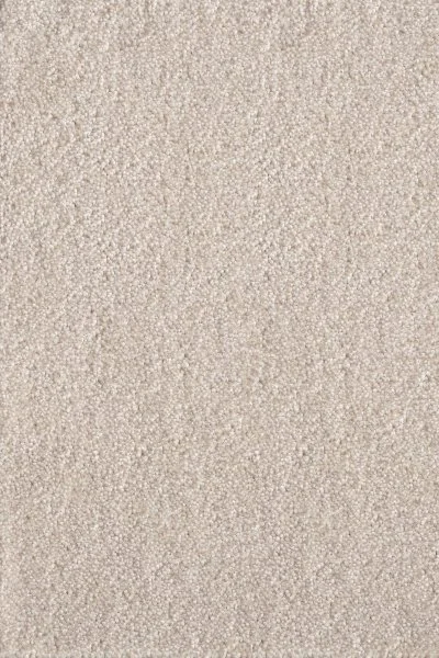 Ковровое покрытие AW Messalina 34 - (5м) в Кемерово