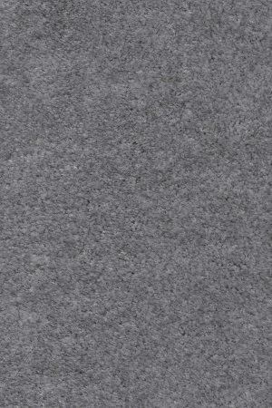 Ковровое покрытие AW Euphoria 95 - (5м) в Кемерово