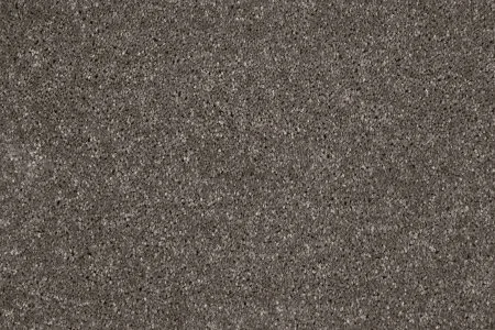 Ковровое покрытие AW Gala 49 - (4м) в Кемерово