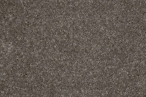 Ковровое покрытие AW Gala 49 - (4м) в Кемерово