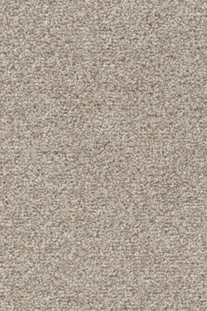 Ковровое покрытие AW Stainguard Harvest 04 - (4м) в Кемерово