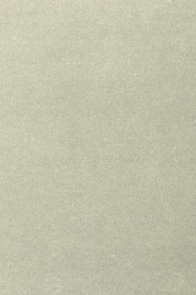 Ковровое покрытие AW Oinone 02 - (4м) в Кемерово