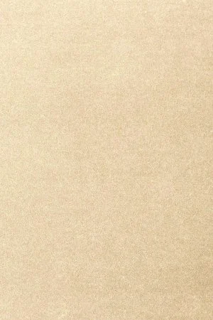 Ковровое покрытие AW Oinone 33 - (5м) в Кемерово