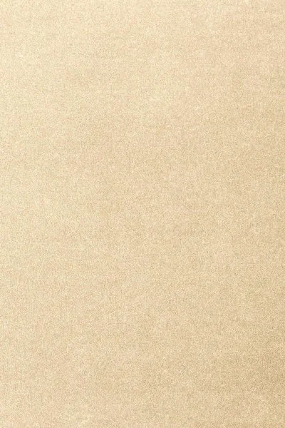 Ковровое покрытие AW Oinone 33 - (4м) в Кемерово