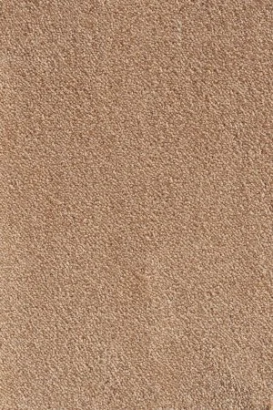 Ковровое покрытие AW Messalina 38 - (5м) в Кемерово