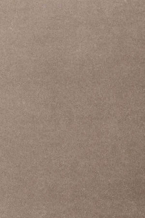 Ковровое покрытие AW Oinone 49 - (5м) в Кемерово