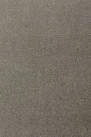 Ковровое покрытие AW Oinone 95 - (4м) в Кемерово