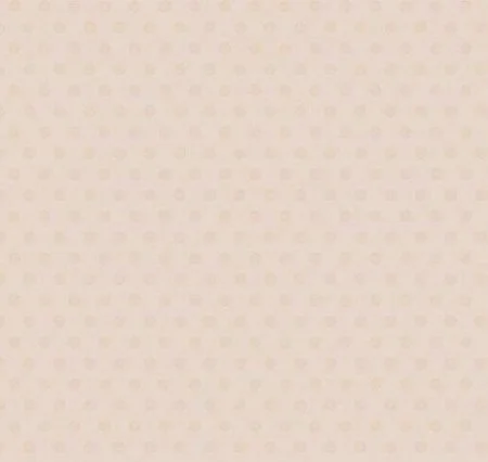 Обои Loymina Golden Library Q11, 002/1 в Кемерово