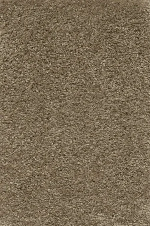 Ковровое покрытие AW Certosa 35 - (5м) в Кемерово