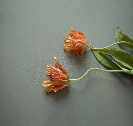 Обои Loymina Russian Classic Ru10, 006 в Кемерово