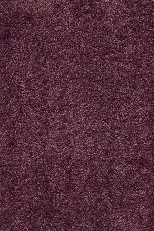 Ковровое покрытие AW Fedone 19 - (5м) в Кемерово