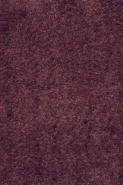 Ковровое покрытие AW Fedone 19 - (5м) в Кемерово