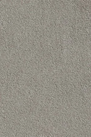 Ковровое покрытие AW Messalina 9 - (5м) в Кемерово