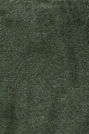 Ковровое покрытие AW Fedone 24 - (5м) в Кемерово