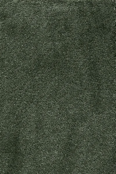 Ковровое покрытие AW Fedone 24 - (5м) в Кемерово