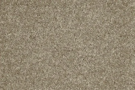 Ковровое покрытие AW Gala 33 - (4м) в Кемерово